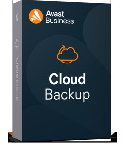 Cloud-Backup